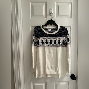 Winter theme sweater.